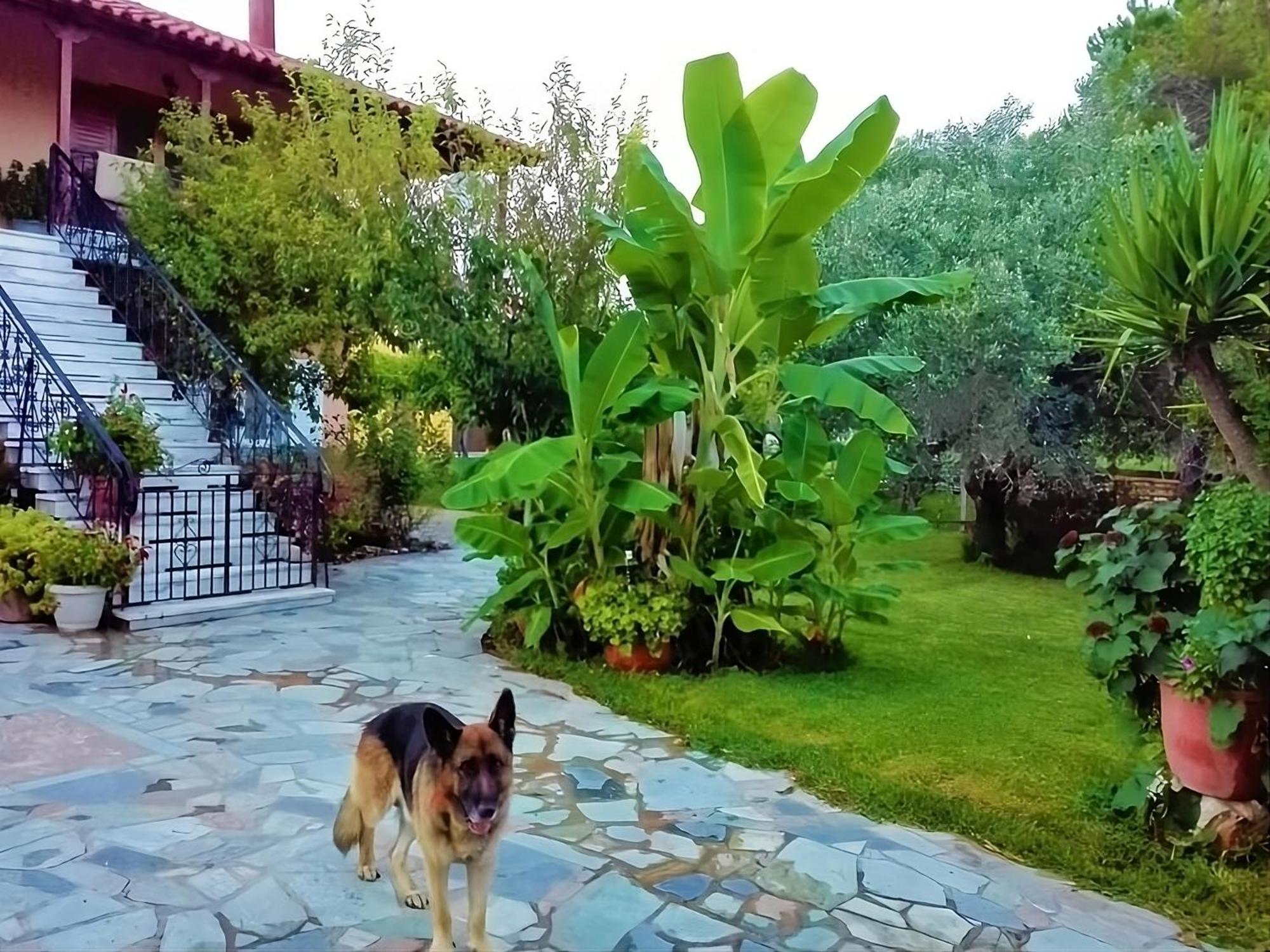 Cottage House,With Big Garden & Lawn Amaliada Экстерьер фото